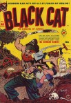 blackcat28