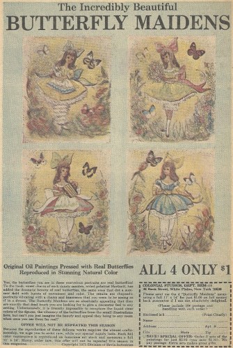 butterflymaidens