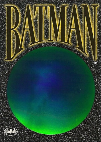 Batman Saga of the Dark Knight SkyDisc